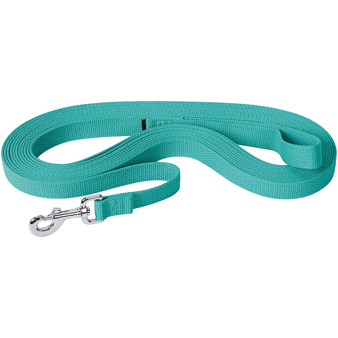 Weaver Flat Cotton Lunge Line 1" x 30" - Multiple Colours