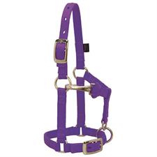 Weaver Miniature Horse Adjustable Chin and Throat Snap Halter 5/8"