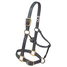 Weaver Leather Original Adjustable Nylon Horse Halter 3/4" Arabian/Cob