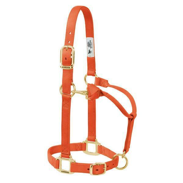 Weaver Leather Original Adjustable Nylon Horse Halter 3/4" Arabian/Cob