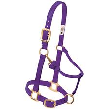 Weaver Leather Original Adjustable Nylon Horse Halter 3/4" Arabian/Cob