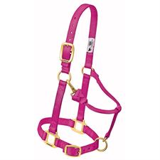 Weaver Leather Original Adjustable Nylon Horse Halter 3/4" Arabian/Cob
