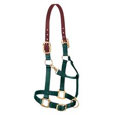 Weaver Leather Nylon Adjustable Breakaway Horse Halter - Yearling