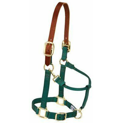 Weaver Leather Nylon Adjustable Breakaway Horse Halter, Average, Red