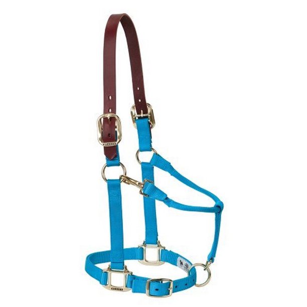 Weaver Leather Nylon Adjustable Breakaway Horse Halter - Average Horse - Irvine Tack & Western Wear