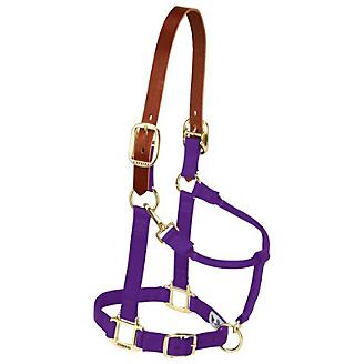 Weaver Leather Nylon Adjustable Breakaway Horse Halter - Average Horse - Irvine Tack & Western Wear