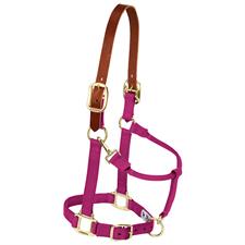 Weaver Leather Nylon Adjustable Breakaway Horse Halter - Large Horse