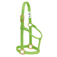 Weaver Leather Original Non-Adjustable Nylon Horse Halter -SMALL HORSE