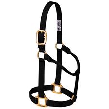 Weaver Leather Original Average Non-Adjustable Nylon Horse Halter - Assorted Colours - Irvine Tack & Western Wear
