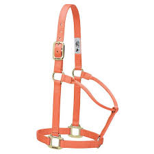 Weaver Leather Original Average Non-Adjustable Nylon Horse Halter - Assorted Colours