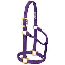 Weaver Leather Original Average Non-Adjustable Nylon Horse Halter - Assorted Colours - Irvine Tack &amp; Western Wear