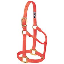 Weaver Leather Original Non-Adjustable Nylon Horse Halter-LARGE HORSE