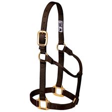 Weaver Leather Original Non-Adjustable Nylon Horse Halter-LARGE HORSE