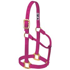 Weaver Leather Original Non-Adjustable Nylon Horse Halter-LARGE HORSE