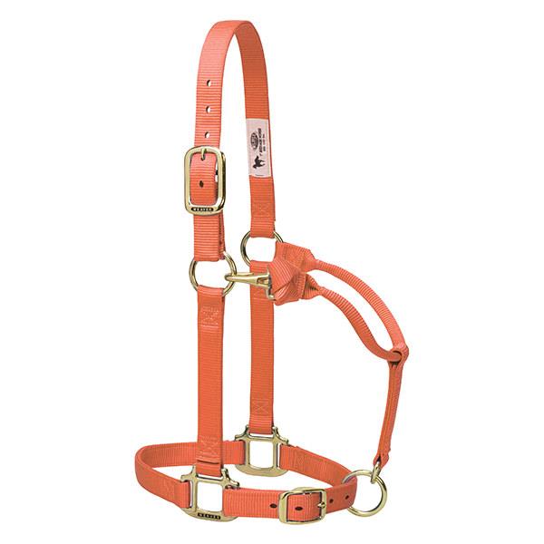 Weaver Leather Original Adjustable Nylon Horse Halter 1" Yearling - Multiple Colours - Irvine Tack &amp; Western Wear