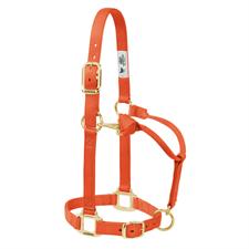 Weaver Leather Original Adjustable Nylon Horse Halter 1" Yearling - Multiple Colours
