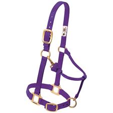 Weaver Leather Original Adjustable Nylon Horse Halter 1" Yearling - Multiple Colours - Irvine Tack &amp; Western Wear