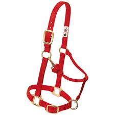 Weaver Leather Nylon Adjustable Draft Horse Halter 1" Average - Multiple Colours - Irvine Tack & Western Wear