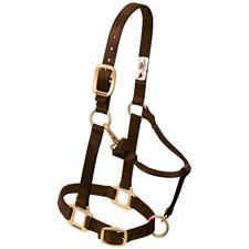 Weaver Leather Original Adjustable Nylon Horse Halter, 1" Average - Multiple Colours