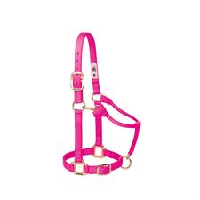 Weaver Leather Original Adjustable Nylon Horse Halter 1" Small - Multiple Colours