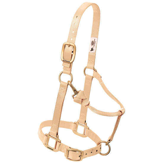 Weaver Leather Original Adjustable Nylon Horse Halter 1" Small - Multiple Colours