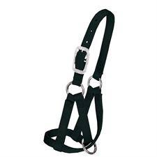 Weaver Llama Halter, Small - Irvine Tack &amp; Western Wear