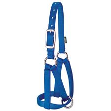Weaver Llama Halter, 3/4" Medium/Large - Irvine Tack & Western Wear