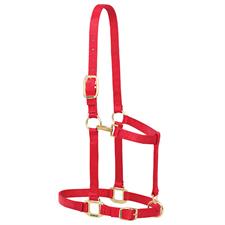 Weaver Leather Nylon Adjustable Draft Horse Halter, 1" - Large - Multiple Colours - Irvine Tack & Western Wear