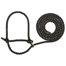 Weaver Leather Stierwalt Breaking Halter - Irvine Tack & Western Wear