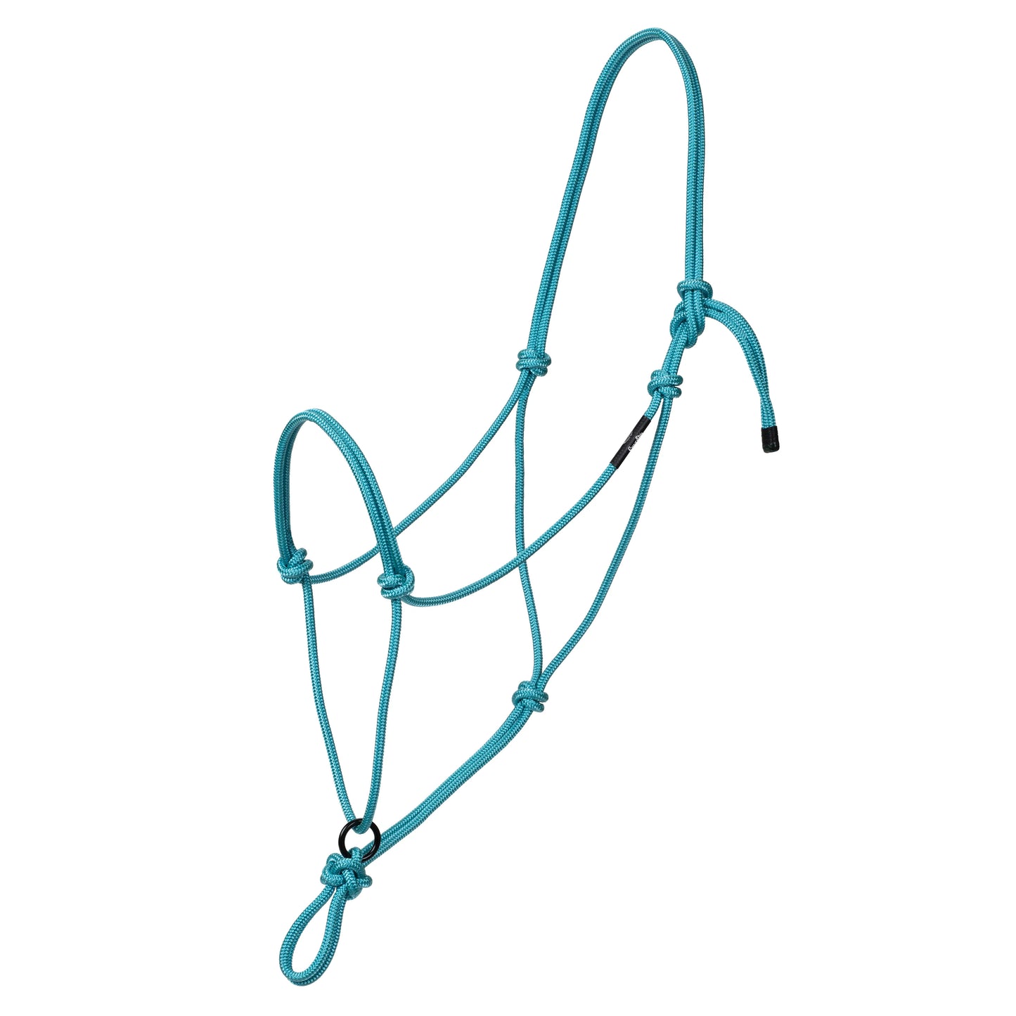 Weaver Transition Halter