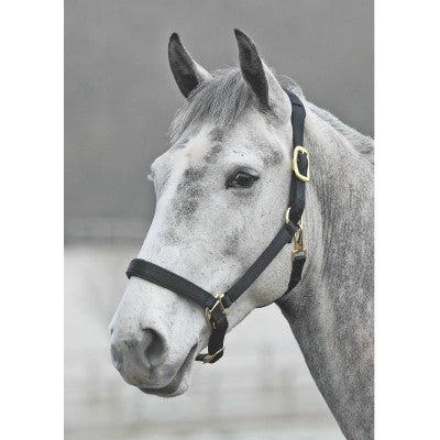 Topaz Leather Breakaway Nylon Head Collar