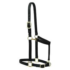 Weaver Nylon Adjustable Draft Horse Halter, 1-1/2" Large