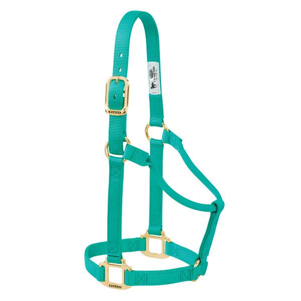 Weaver Leather Original Non-Adjustable Halter 1" - Yearling - Irvine Tack &amp; Western Wear