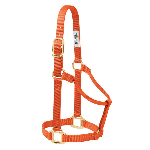 Weaver Leather Original Non-Adjustable Halter 1" - Yearling - Irvine Tack &amp; Western Wear