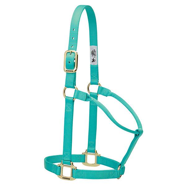 Weaver Leather Original Non-Adjustable Halter 1" - Yearling - Irvine Tack &amp; Western Wear
