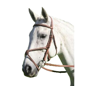 Avignon Figure Eight Noseband