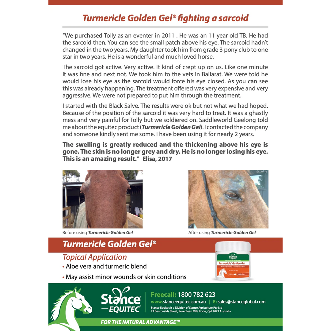 StanceEQ Tumericle Golden Gel - Irvine Tack &amp; Western Wear
