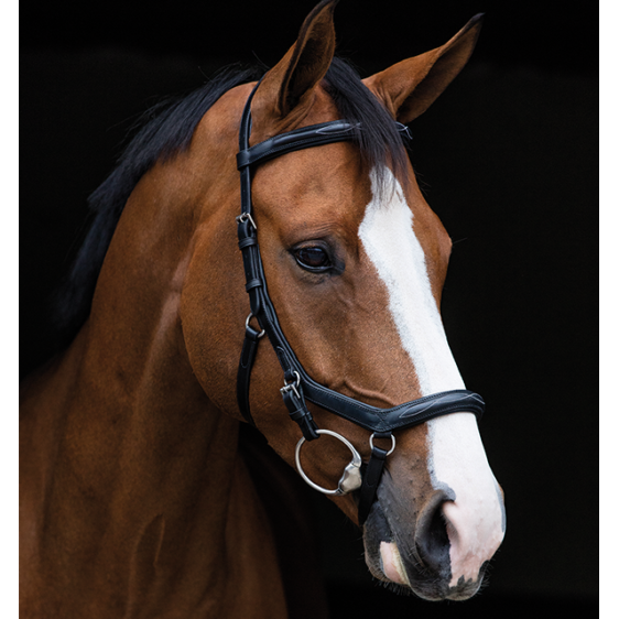 Rambo Micklem Deluxe Competition Bridle - Black