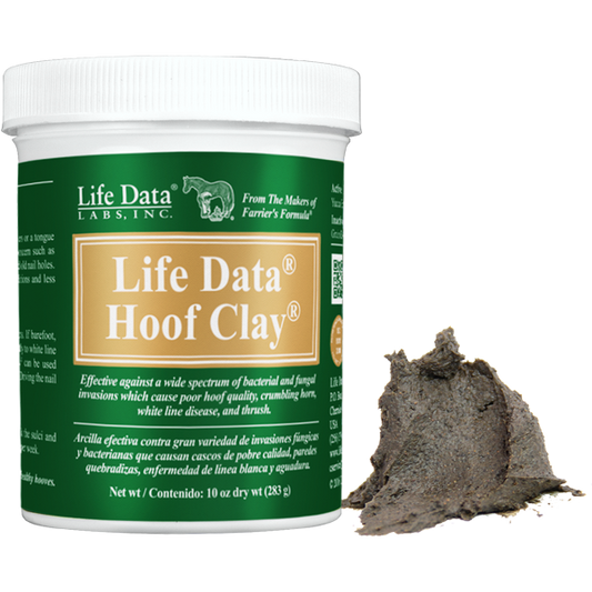 Life Data Hoof Clay 10oz