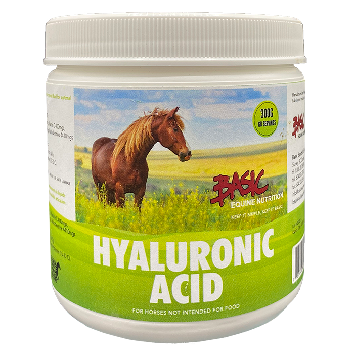 Basic Equine Hyaluronic Acid - 300g