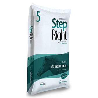 StepRight Step 5 - Maintenance ***Clearance***