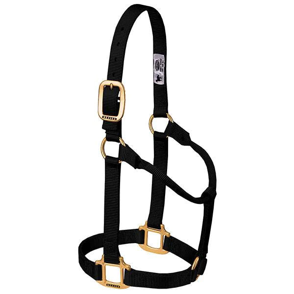 Weaver Leather Original Non-Adjustable Halter 1" - Yearling - Irvine Tack & Western Wear