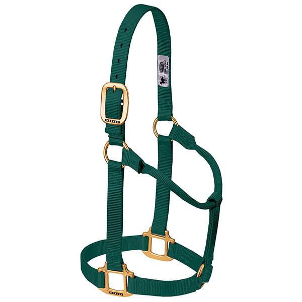 Weaver Leather Original Non-Adjustable Halter 1" - Yearling - Irvine Tack & Western Wear