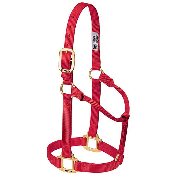 Weaver Leather Original Non-Adjustable Halter 1" - Yearling - Irvine Tack & Western Wear