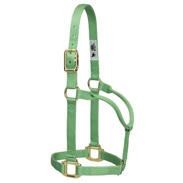 Weaver Leather Original Non-Adjustable Halter 1" - Yearling - Irvine Tack & Western Wear