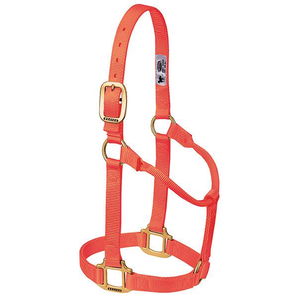 Weaver Leather Original Non-Adjustable Halter 1" - Yearling - Irvine Tack & Western Wear