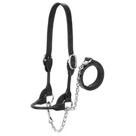 Weaver Dairy/Beef Rounded Show Halter Small - Black