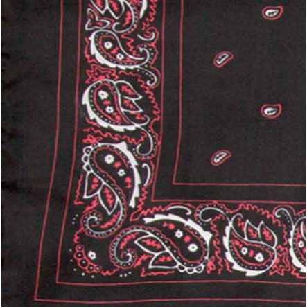 Wyoming Traders Silk Scarf - Bandana