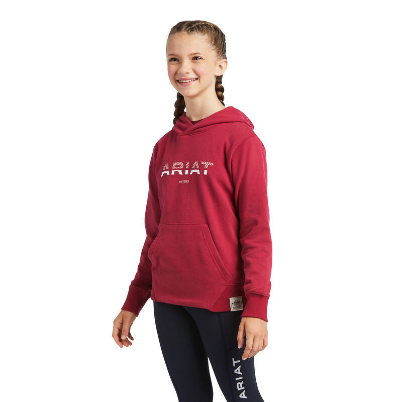 Ariat Youth 3D Logo 2.0 Hoodie - Red Bud