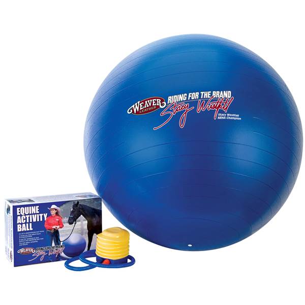 Weaver Leather Stacy Westfall Activity Ball Medium - Blue